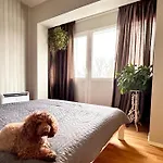 Teras Residence