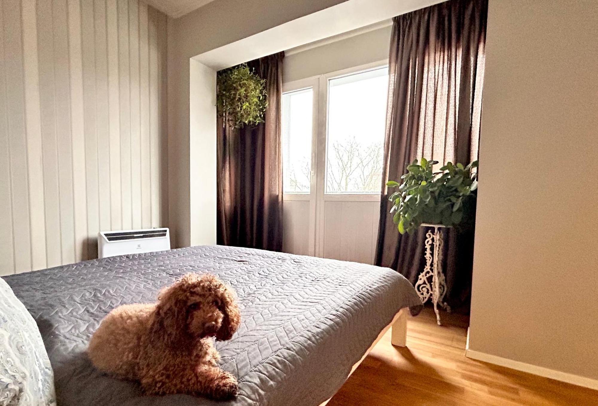Apartment Teras *